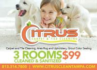 Citrus Carpet and Tile Cleaning image 9